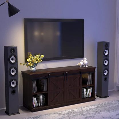 Entertainment Center with Storage Cabinets